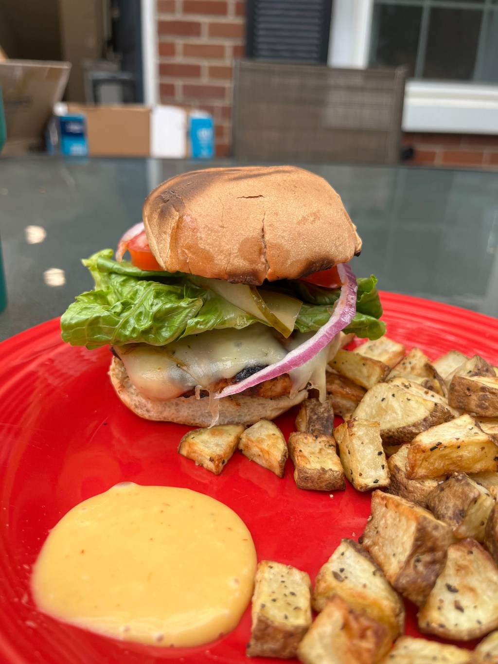 Turkey Burger Attempt&nbsp;#1