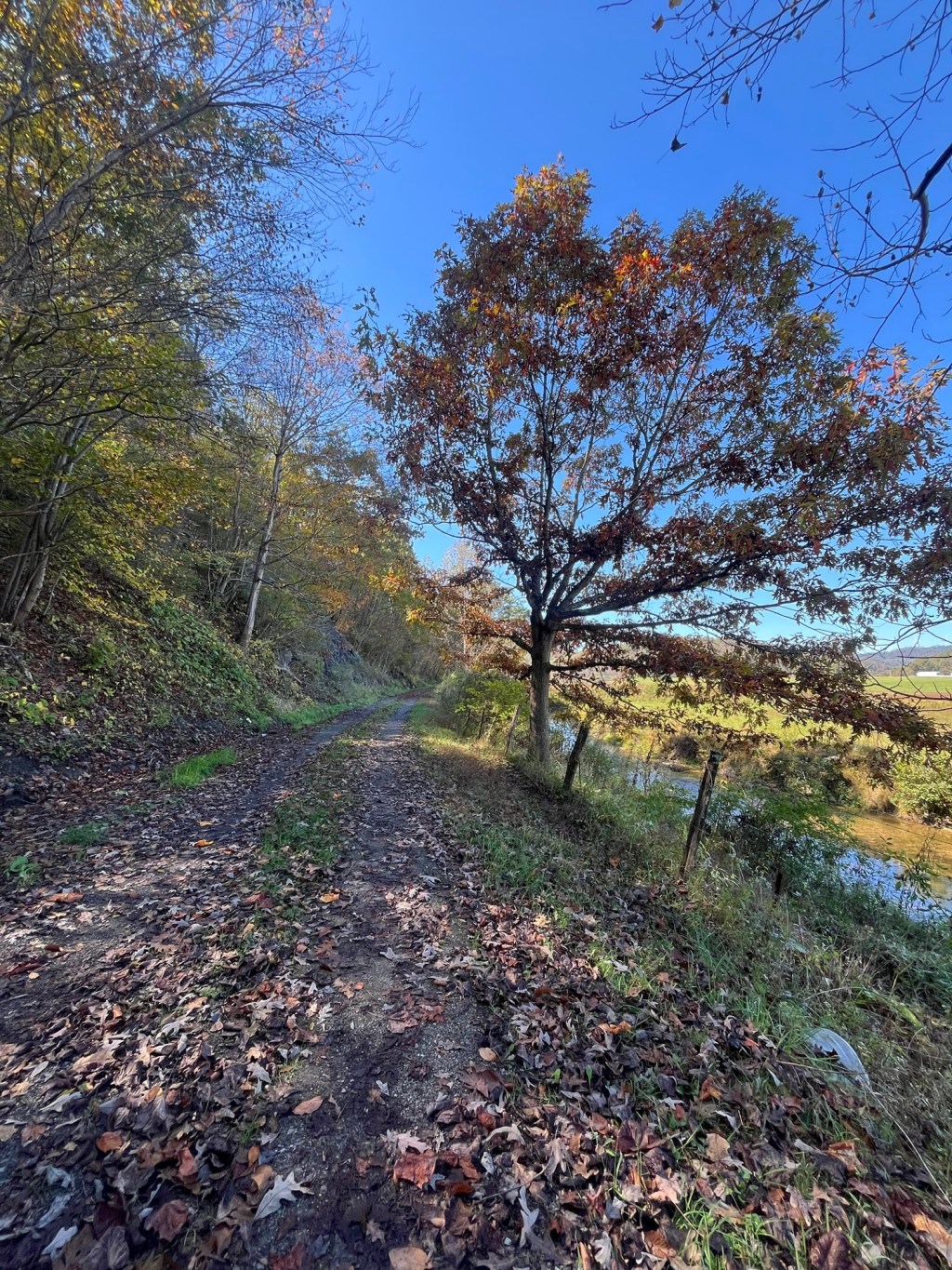 Wild and Wonderful West Virginia&nbsp;Weekend